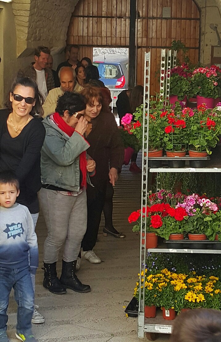 fleurs4